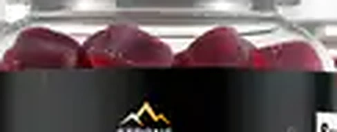 Close-up of wine-red Strong Peak gummies inside the bottle